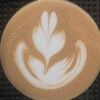 myl1fern